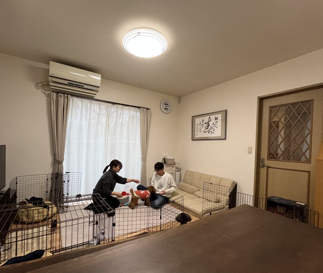 施工例をアップしています🐶