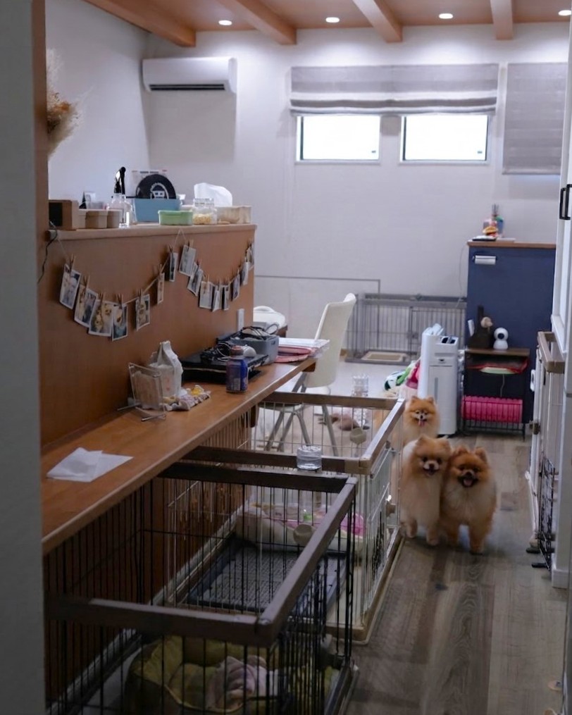 施工例ページ　5匹のポメラニアンと暮らす 家族みんなに心地よい住まい