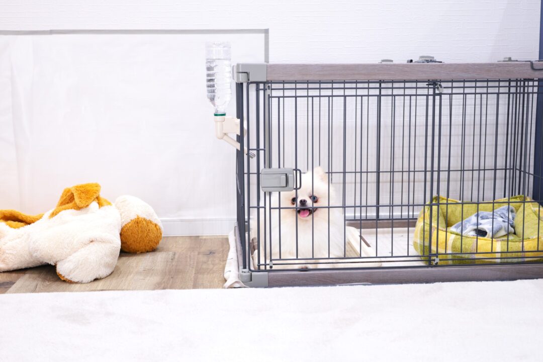 施工例ページ　5匹のポメラニアンと暮らす 家族みんなに心地よい住まい