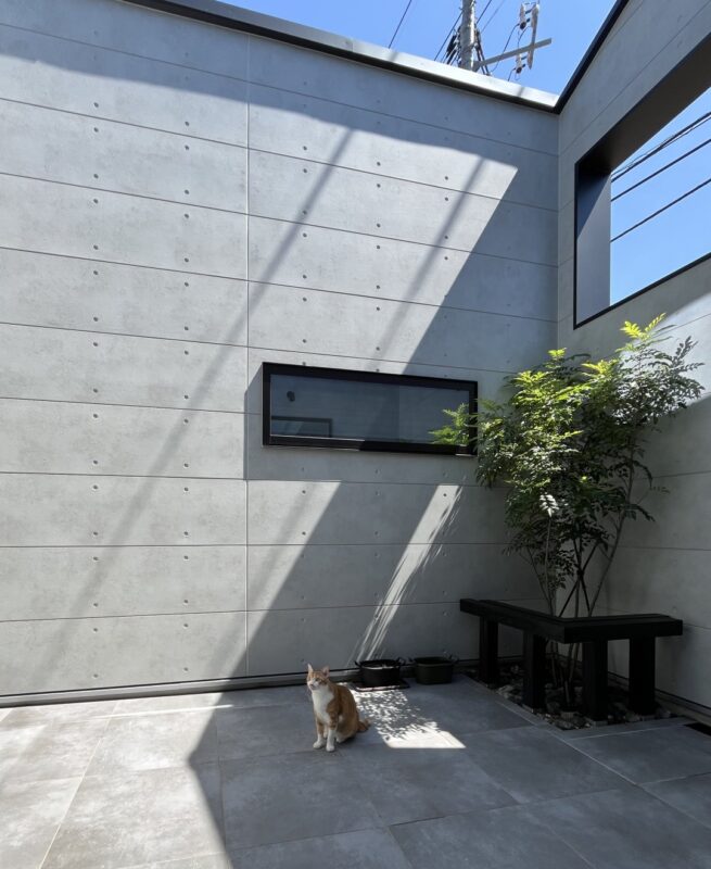 平屋+中庭+ロフト。~ご夫婦もネコちゃんも快適な住まい~　の施工例紹介ページ。中庭を愉しむネコちゃん画像